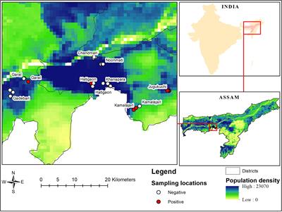 Sero-Prevalence of West Nile Virus in Urban and Peri-Urban Poultry Farms of Guwahati, India